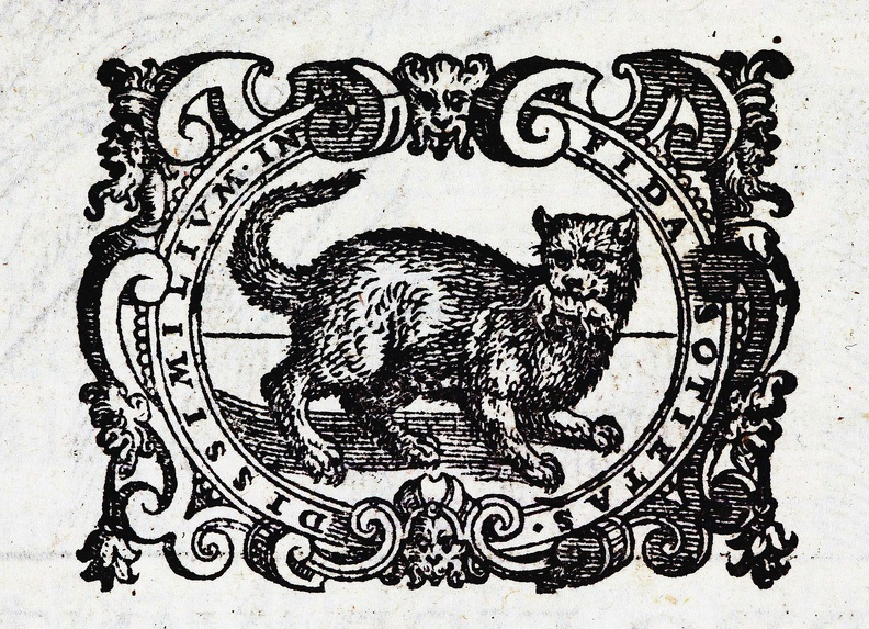 Fioravanti (1582)_2_marcaeditoriale.jpg