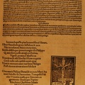Simonem cognomento Bevilaqua Papiensem (1496) 2